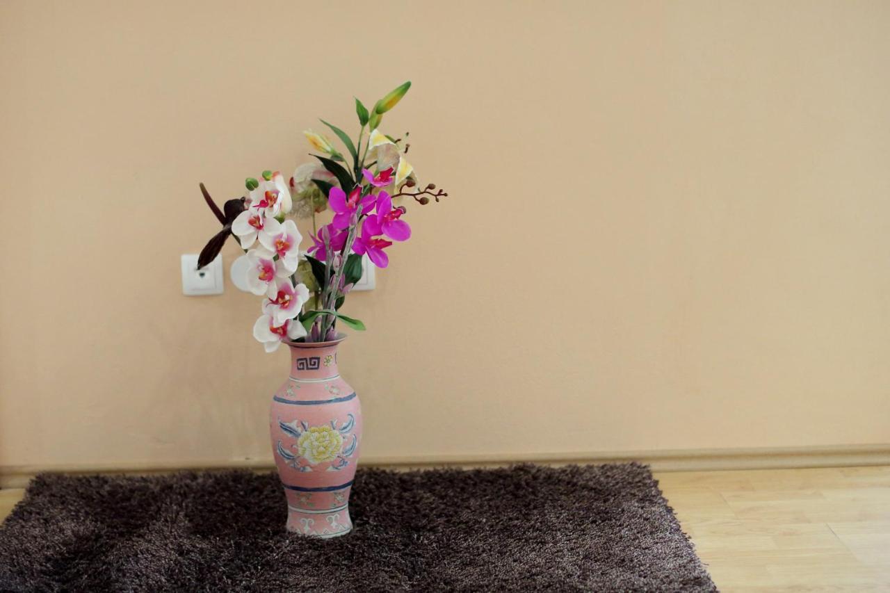 Apartmani Jagoda ビビニェ エクステリア 写真